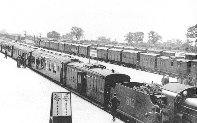 An entire train of horseboxes can be seen is in the background An entire train of horseboxes can be seen is in the background