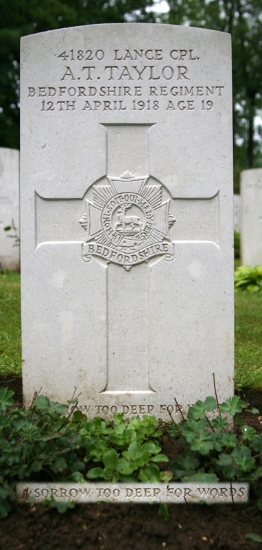 Alfred's headstone in Aveluy Wood Cemetery