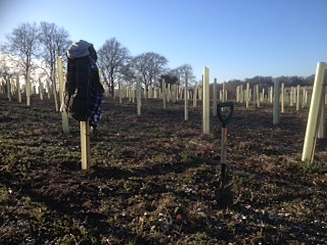 Tree Planting in the WW1 Centenary Wood, Langley Vale.