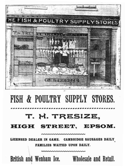An advertisement for Thomas's shop from Andrews' Directory of 1895