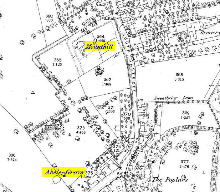 Extract from the 1866 OS map showing Abele Grove and Mounthill - Click to enlarge