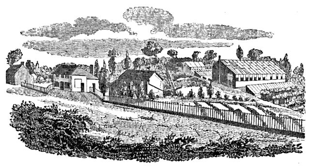 Young's Nursery East Street Epsom 1827