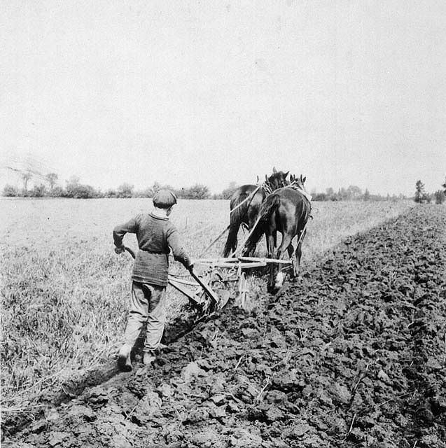 Boy ploughing at Barnardo's Industrial Farm c.1900.