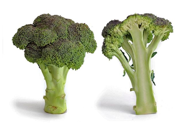 Broccoli