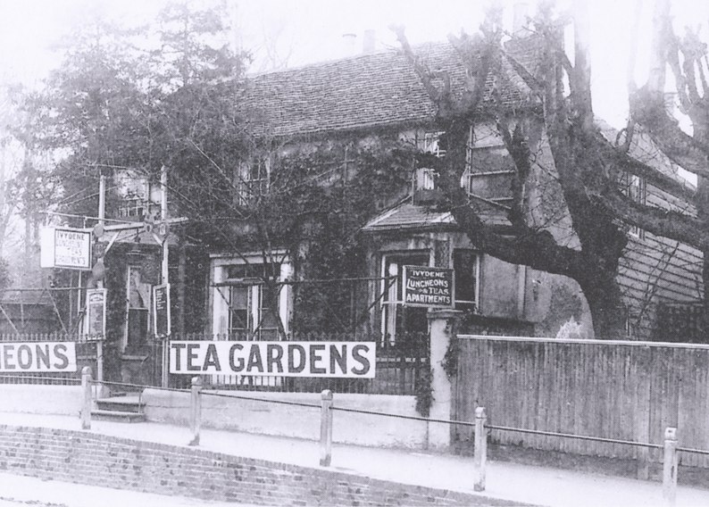 Ivydene
