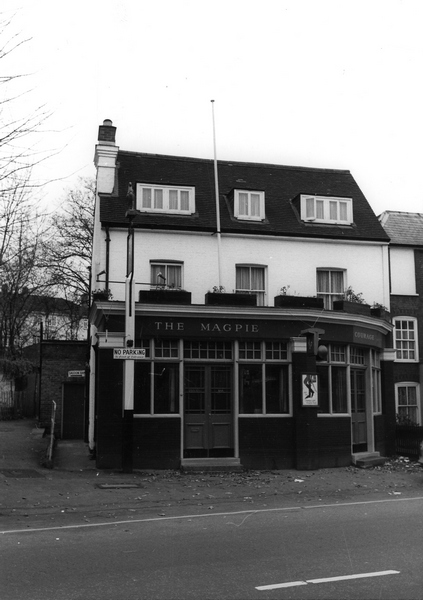 The Magpie