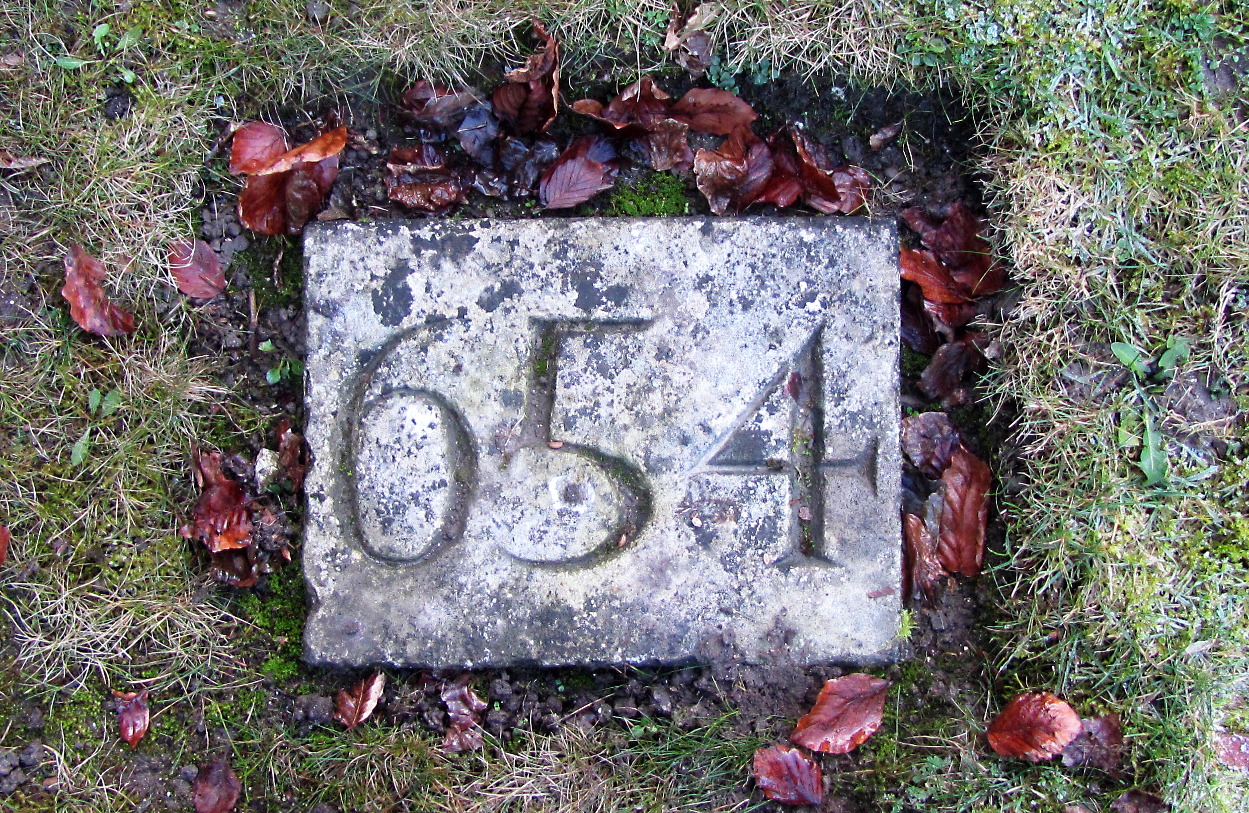 The grave marker for grave 654 in the CWGC Plot in Ashley Road Cemetery